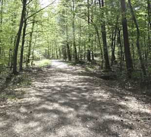 Wanderweg Firstwaldrunde