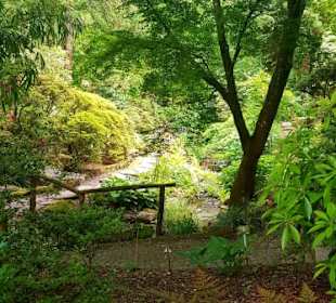 Botanischer Garten der Universität Tübingen