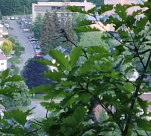 Wandern Bad Herrenalb