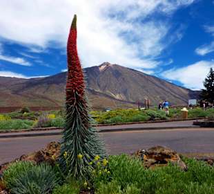 Teide