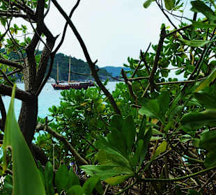 Miang Insel