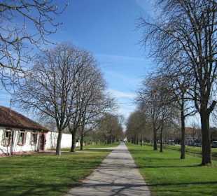Schlossgarten Schwetzingen