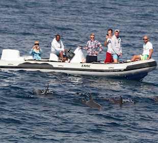 Delfin Tour Hurghada