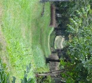 Einsamkeit in diesem Teil