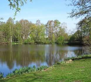 Impressionen vom Weg um den Hasportsee