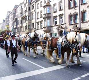 Tucher Brauerei Fürth 6er Span