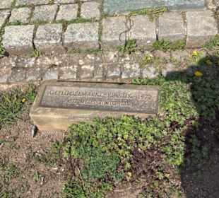 Geflügelmarkt-Plastik