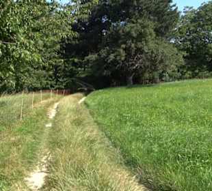 Hochgehnießen - Premiumspazierwanderweg