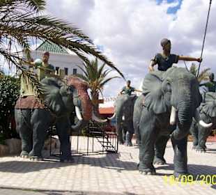 La médina à hammamet