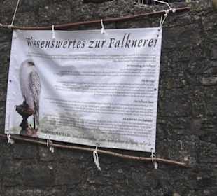 Burgruine Hohenneuffen