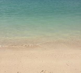 Stadtrundfahrt Abu Dhabi