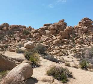Joshua Tree National Park