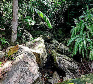 Parque Natural Obô do Príncipe