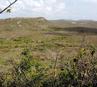 Blick über das Kakteenland von Cas Abao