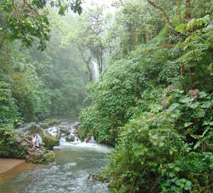 La Paz Waterfall Gardens