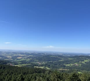 Ausblick