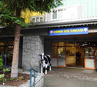 Shannon Falls Provincial Park