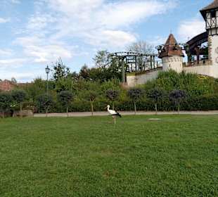 Erlebnispark Tripsdrill