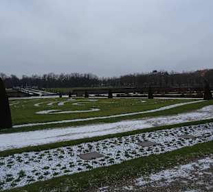 Blühendes Barock im Winter