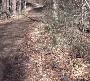Hirschauer Spitzbergwegle (Premiumspazierwanderweg
