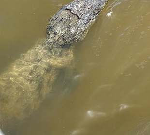 Kanutour Isla Cozumel