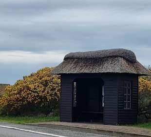 Bushaltestelle Kampen