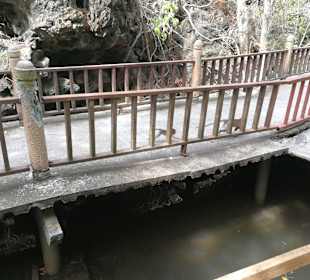 Mangroventour Peter Höfinger