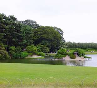 Widok ogólny ogrodu.