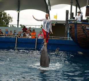 Miami Seaquarium