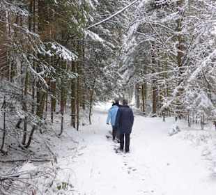Unterwegs nach Regenhütte