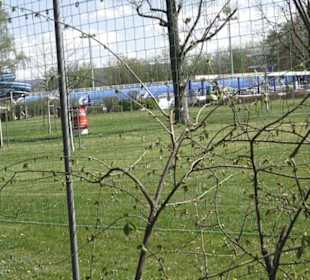 Sport- und Freizeitpark Markwasen