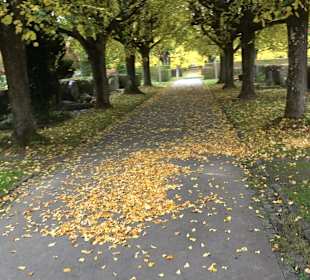Hauptfriedhof Friedrichshafen