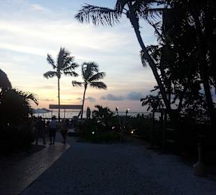 Empfehlung: Snooks Bayside - Restaurant