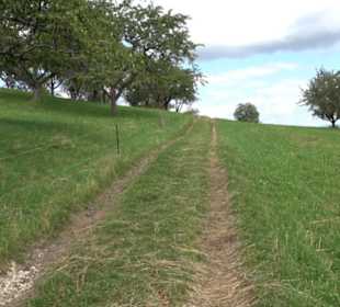 Hochgehnießen - Premiumspazierwanderweg