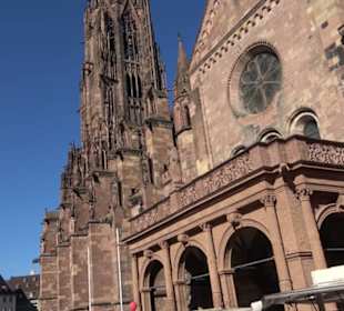 Freiburger Münster