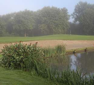 Stark geschützter Fairway