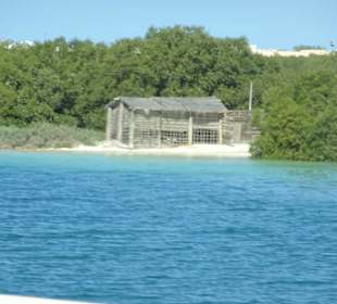 Between Dubai and Abu Dhabi