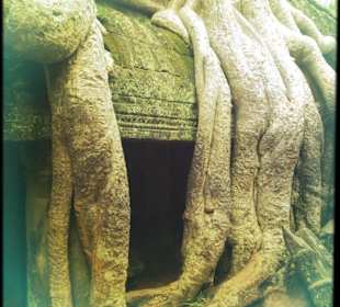 Ta Prohm