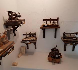 Weinmuseum und Kakteen-Ausstellung El Grifo