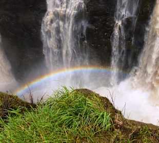 Rainbow at Victoria Falls at Zambia side