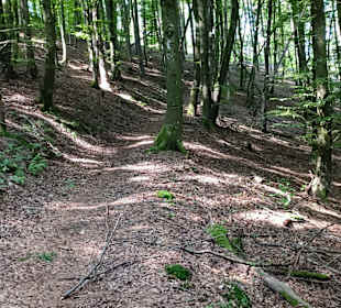 Waldweg