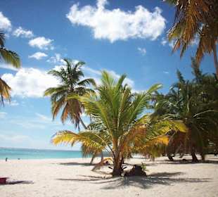 Canto de la Playa - Seavis Tours