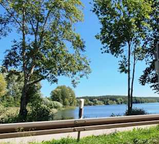 Der Brombachsee im Blick