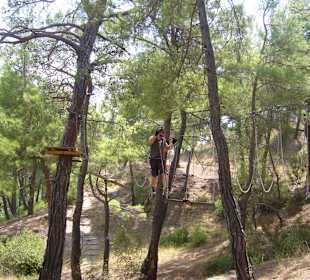 Blick durch den Kletterwald