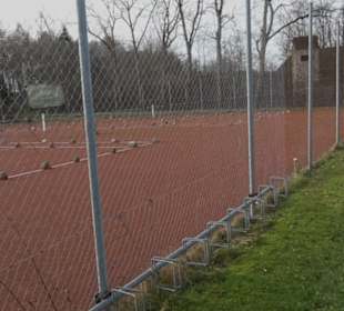 Tennisplätze Gauingen