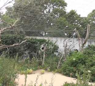 Vogelfreifluggelände