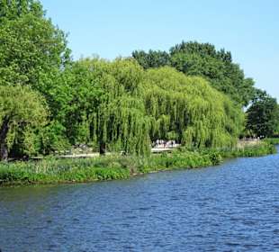 Blick auf eine Uferzone der Außenalster