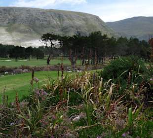 Hermanus Golf Club