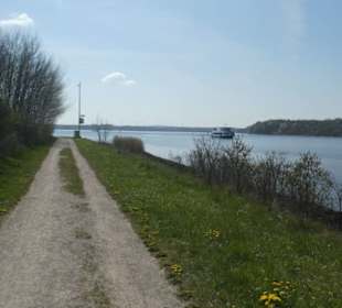 Eindrücke von unseren Priwallwanderungen