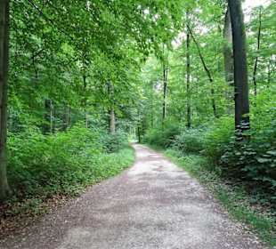 Impressionen vom Rundgang durch den Bamberger Hain
